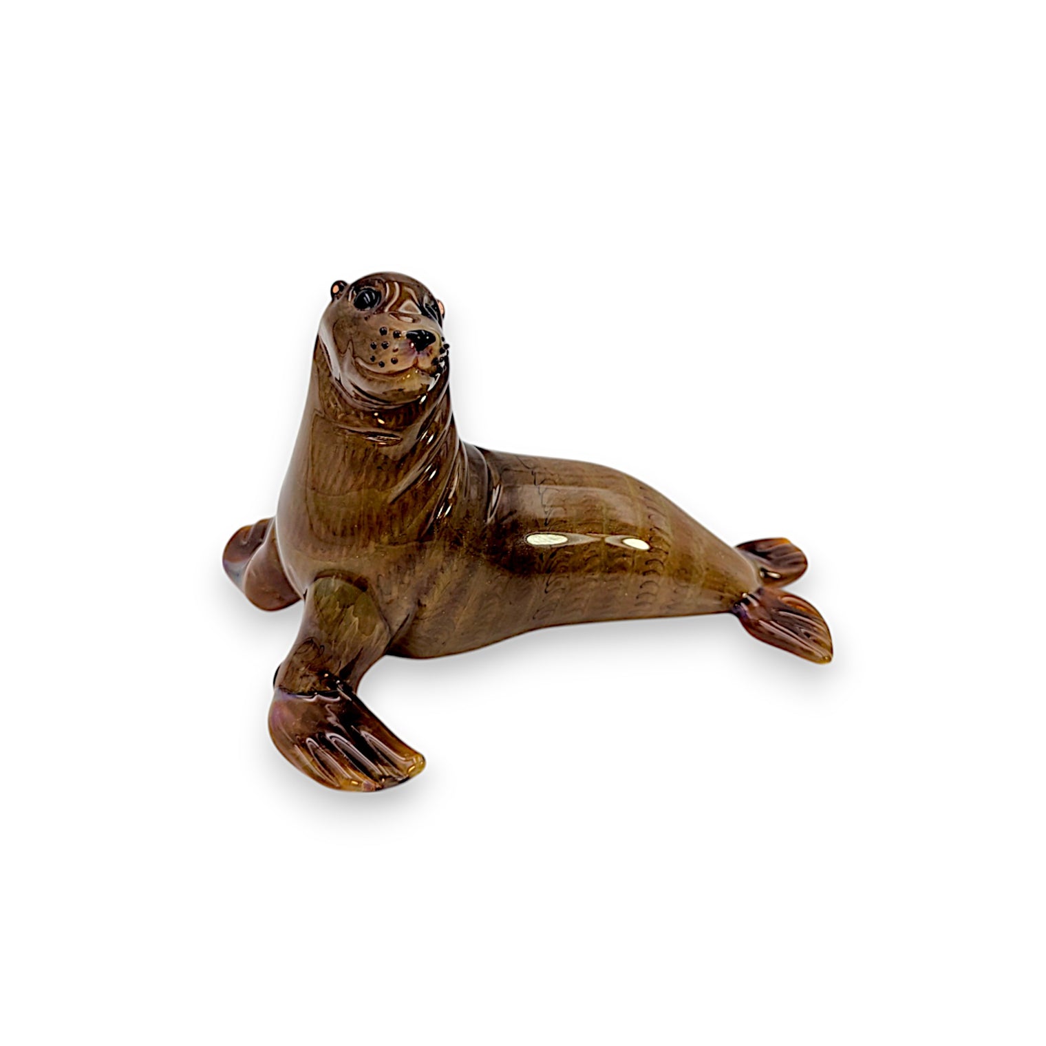 Sea Lion