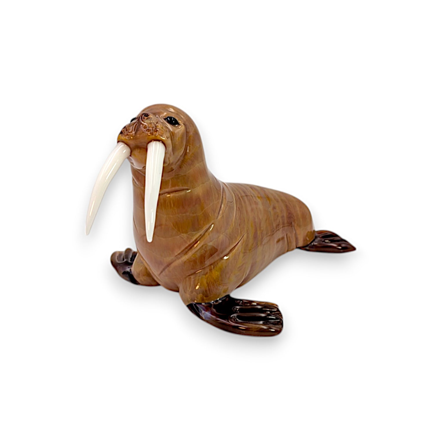 Walrus