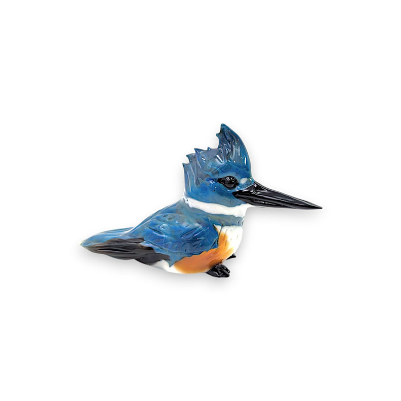 Belted Kingfisher