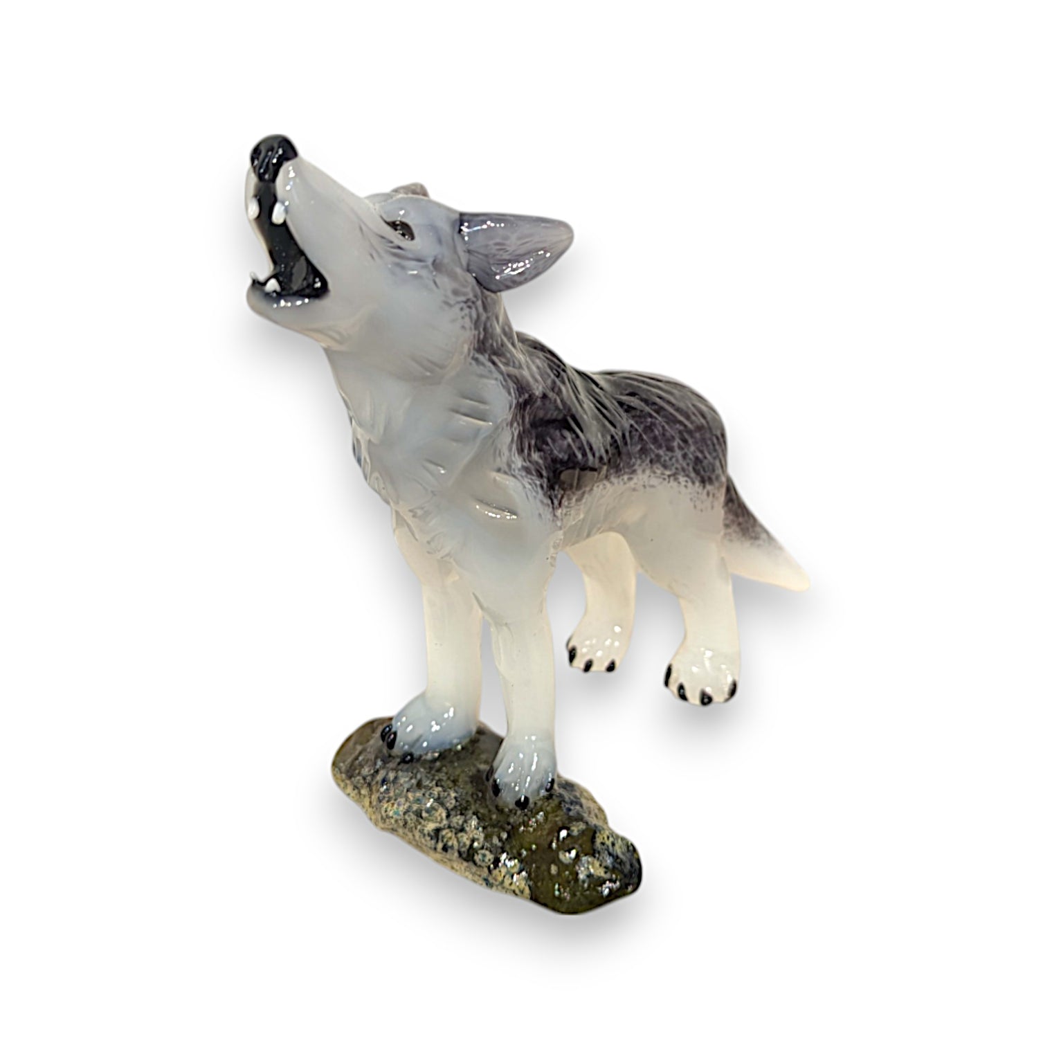 Gray Wolf