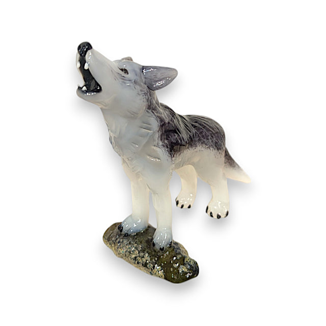Gray Wolf
