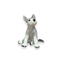 Gray Wolf Cub