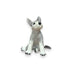 Gray Wolf Cub