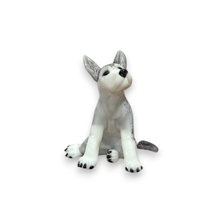 Gray Wolf Cub