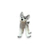 Gray Wolf Cub