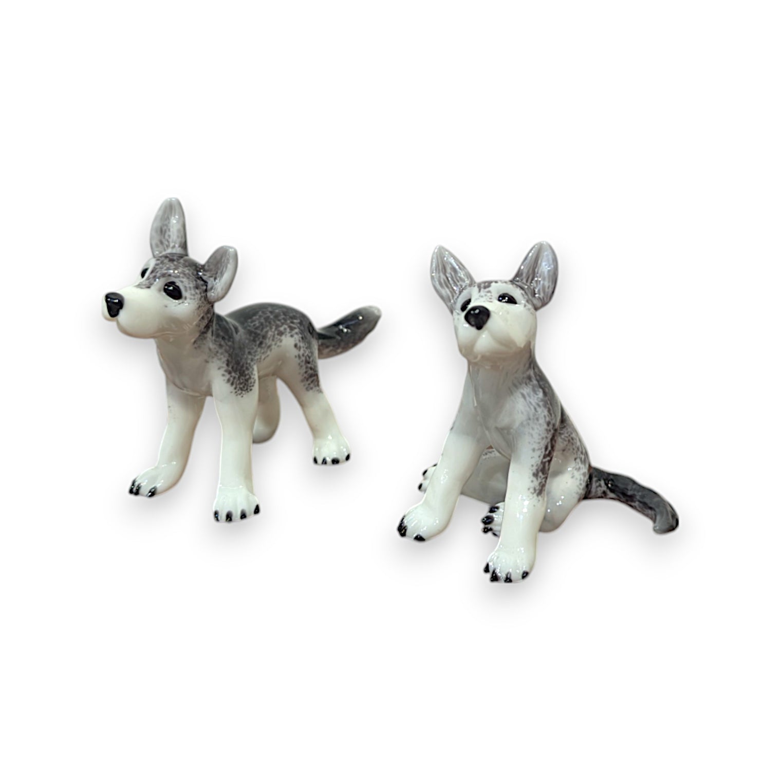 Gray Wolf Cub