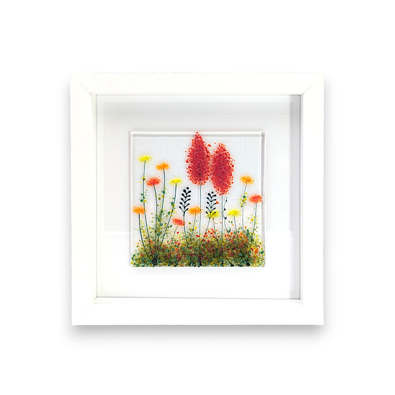 Framed Nature
