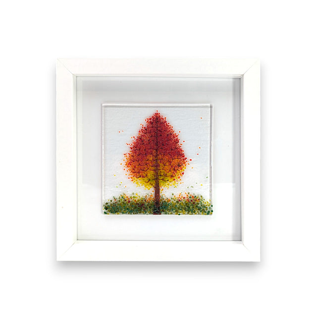 Framed Nature