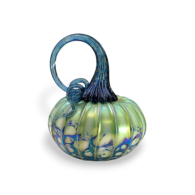 Pumpkin Medium