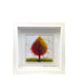 Framed Nature