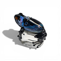 Jumbo Bullfrog on Ice