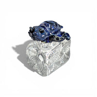 Dichroic Turtle on Ice