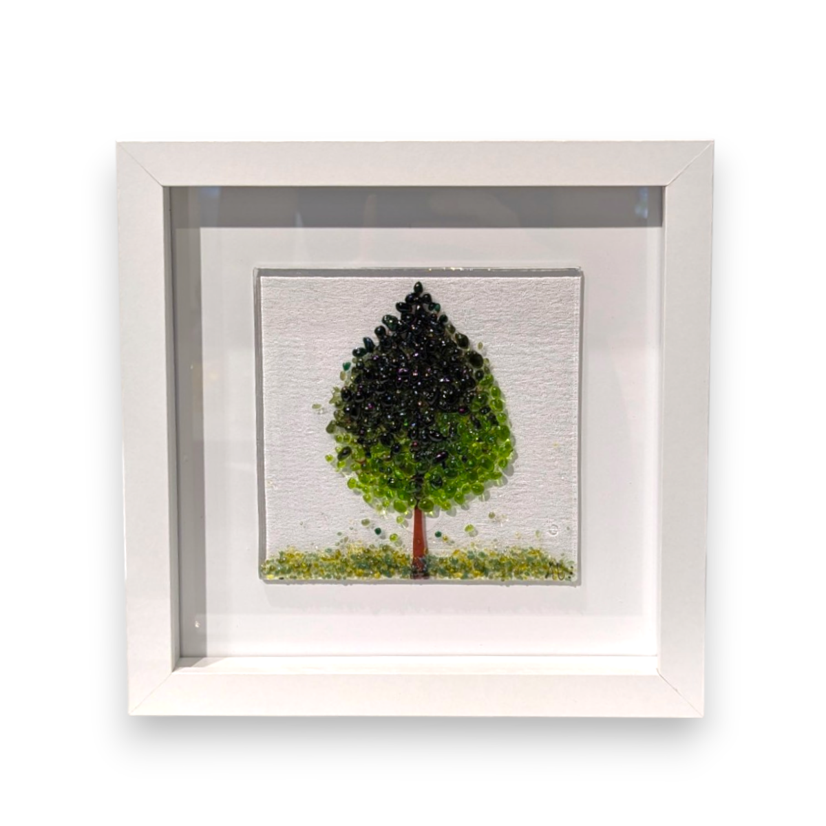 Framed Nature