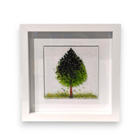 Framed Nature