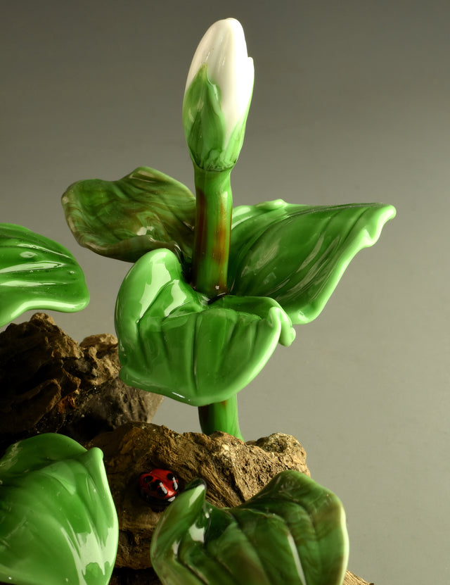 White Trillium