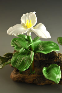 White Trillium