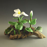 White Trillium
