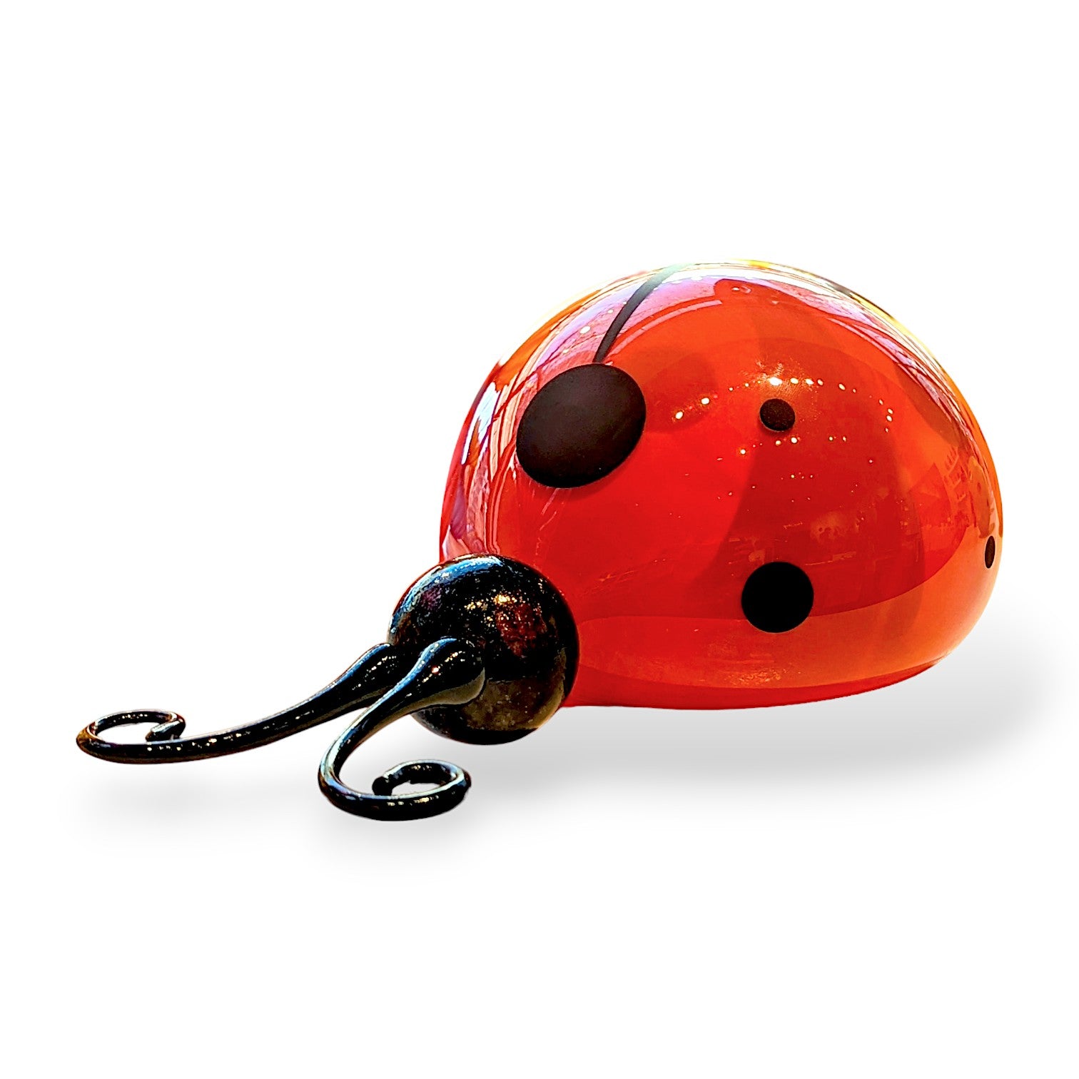 Romeo Ladybug Lg