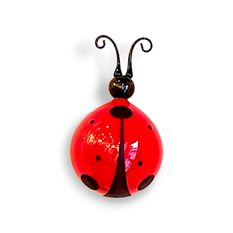 Romeo Ladybug Lg