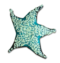 Small Starfish Sculpture