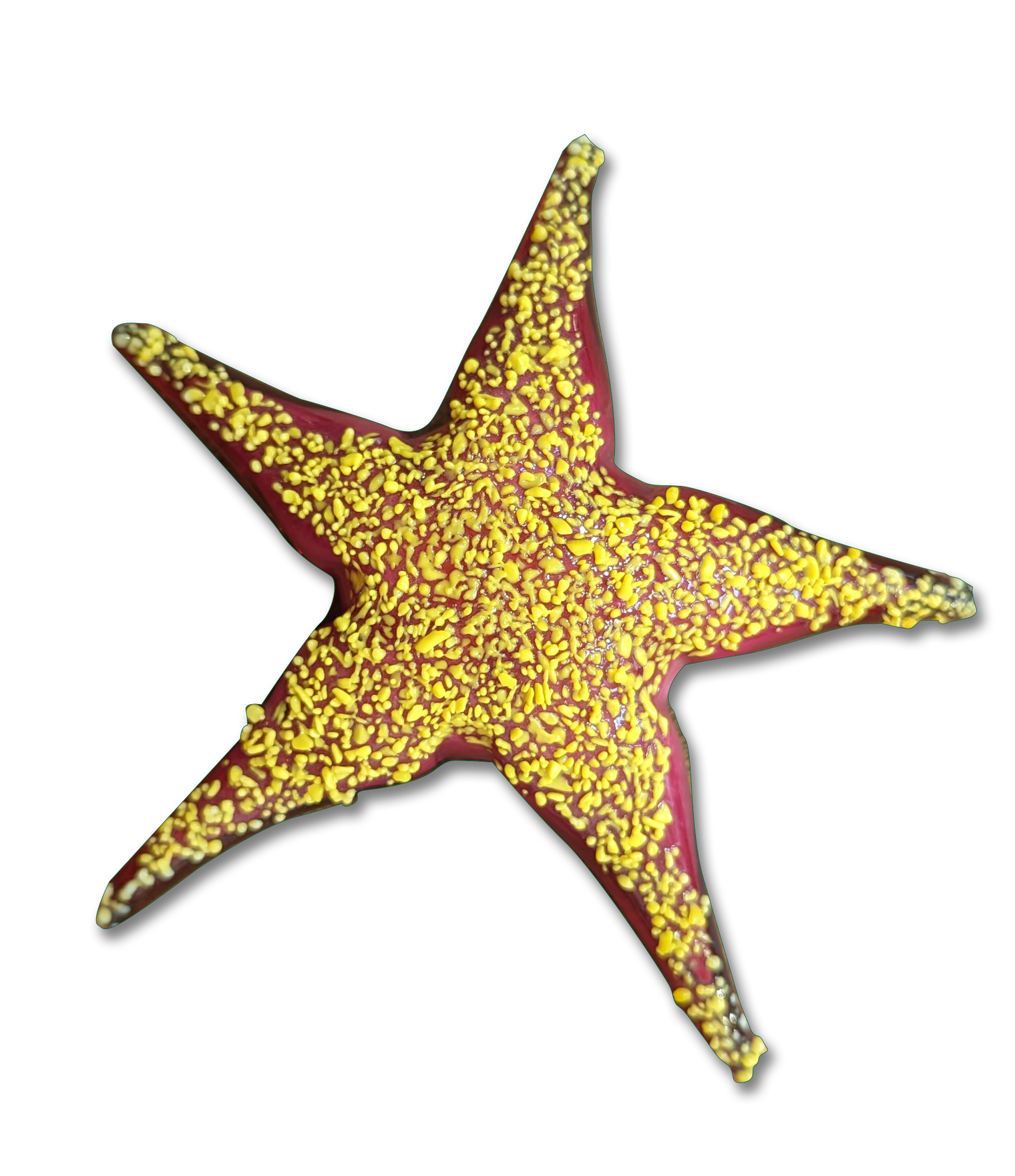 Small Starfish Sculpture