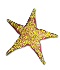 Small Starfish Sculpture