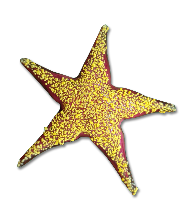 Small Starfish Sculpture