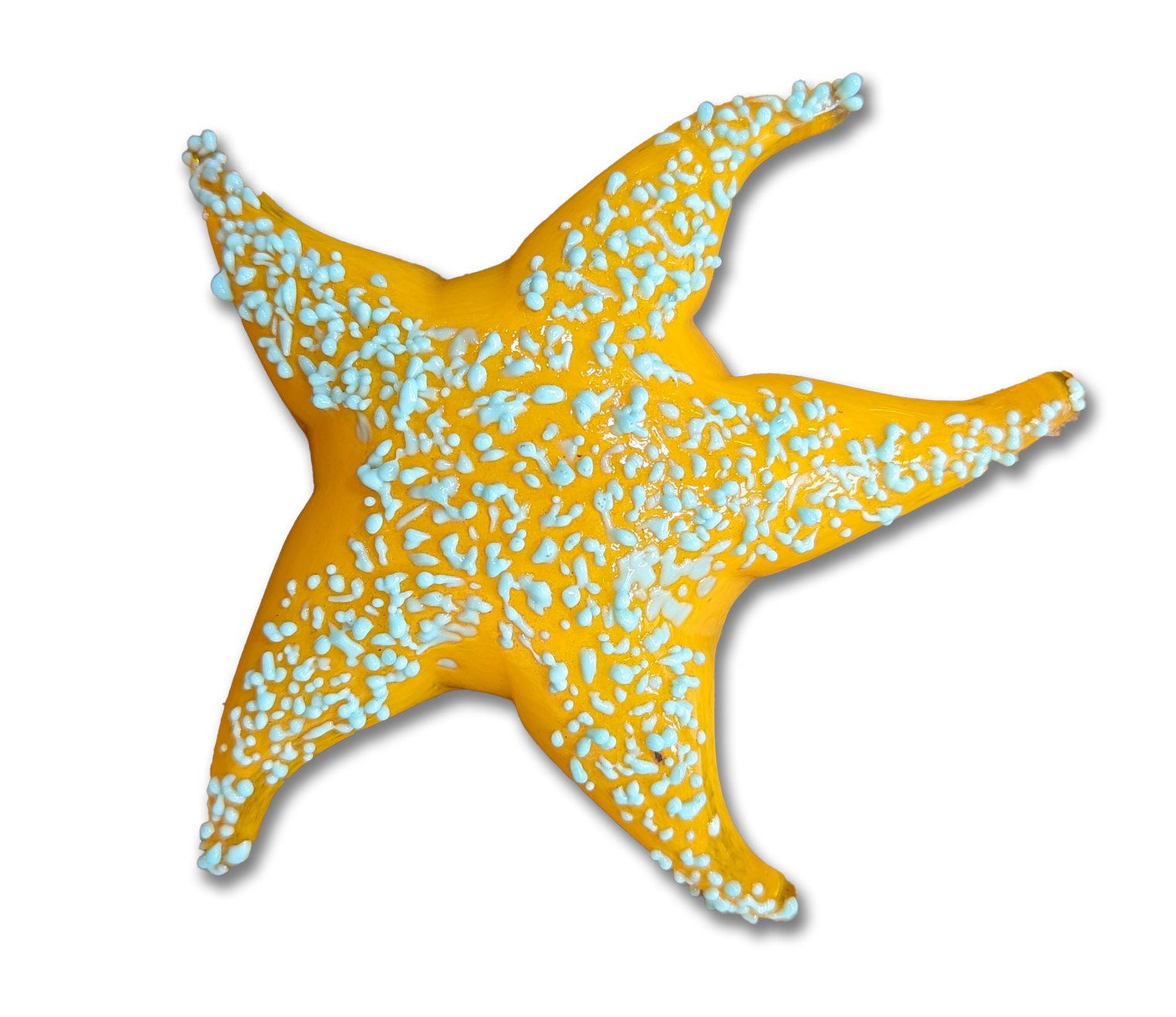 Small Starfish Sculpture