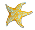 Small Starfish Sculpture