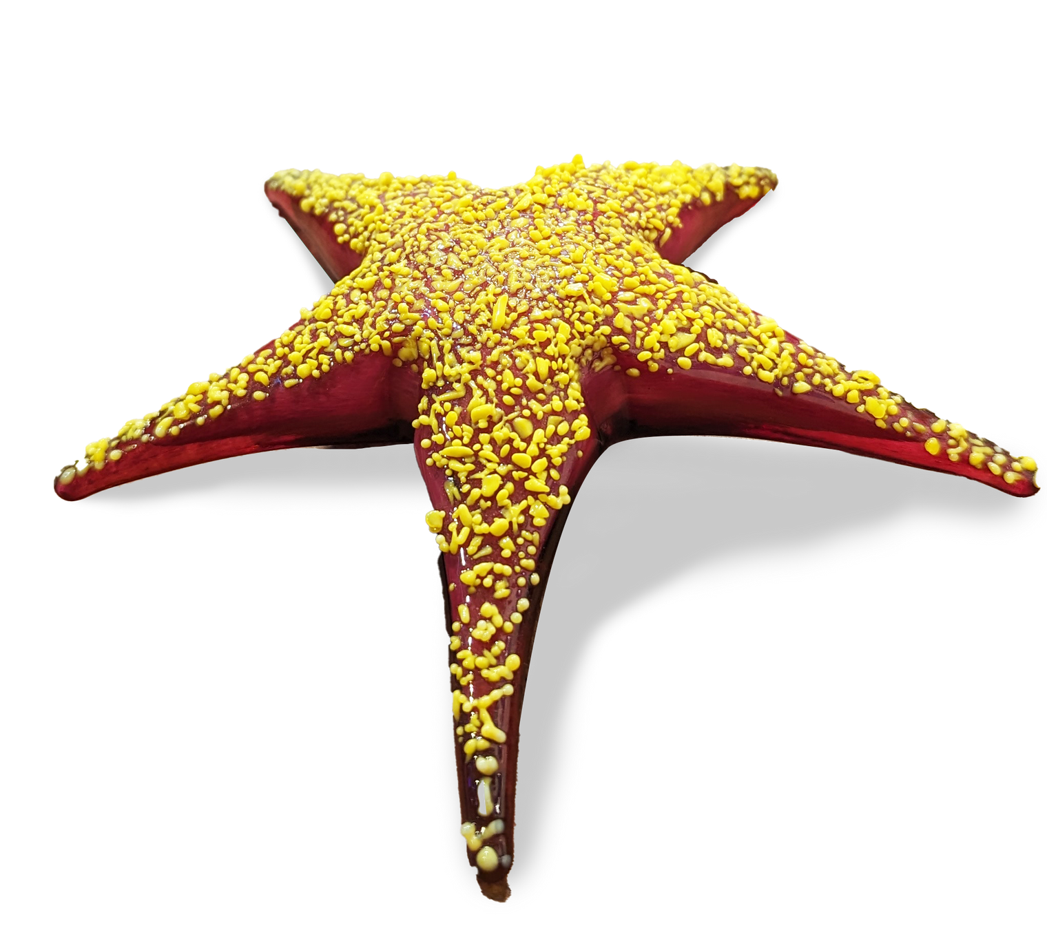 Small Starfish Sculpture