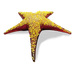 Small Starfish Sculpture