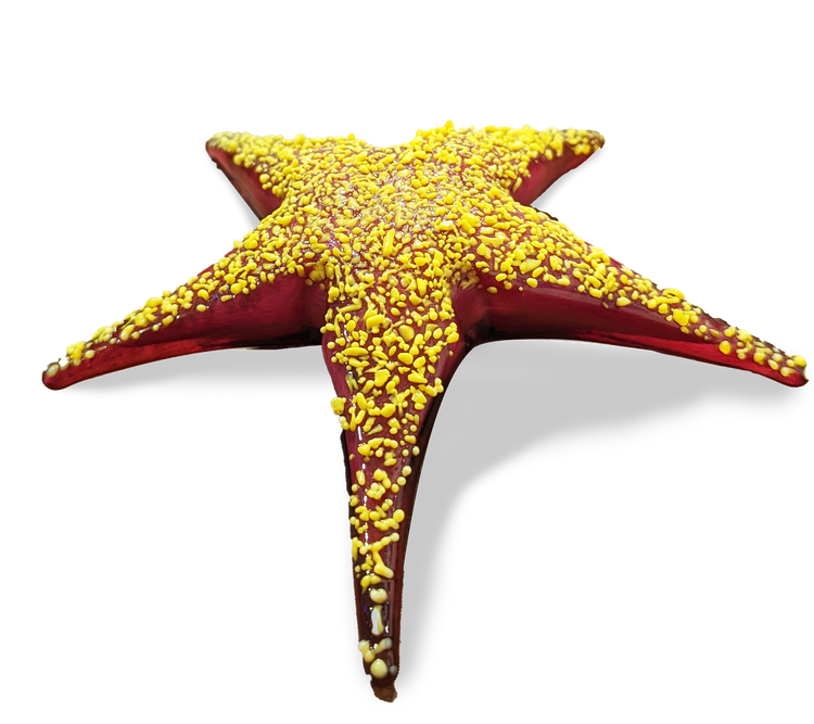 Small Starfish Sculpture