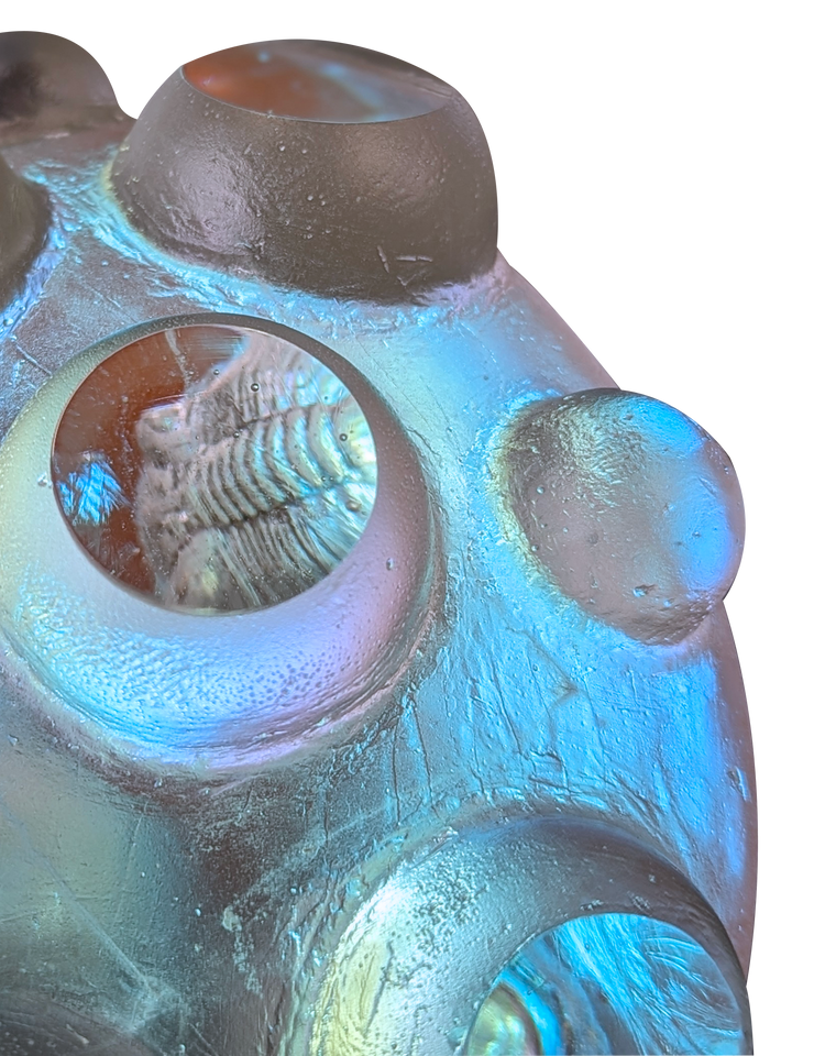 Nodule Trilobites #38