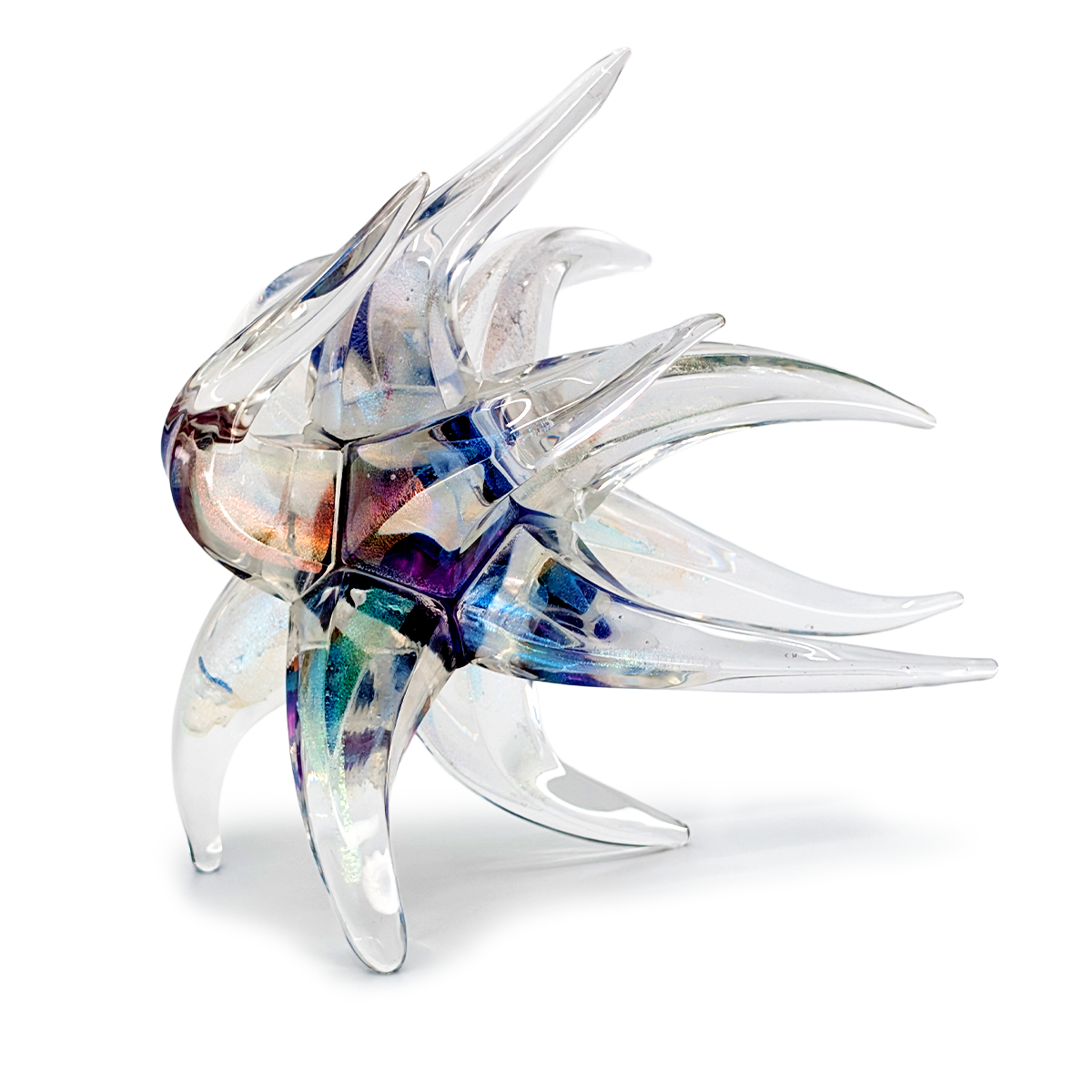 Viola Windstar