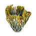 Medium Vase