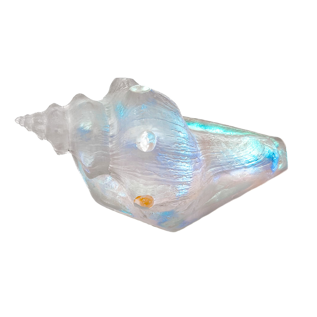 Conch Shell